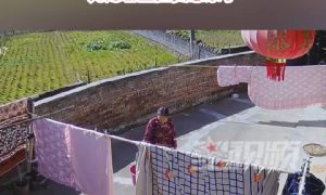 兒媳要回老家過年公婆忙洗曬被子縮略圖 兒媳要回老家過年公婆忙洗曬被子縮略圖