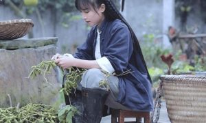 李子柒又營業了縮略圖