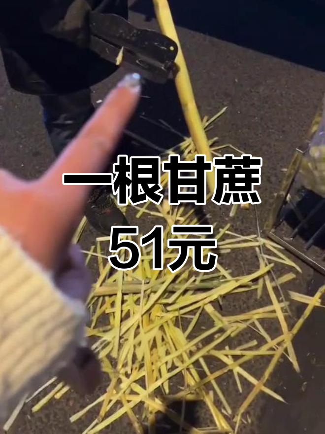 緬甸震后蘋果12元一個甘蔗50元一根插圖