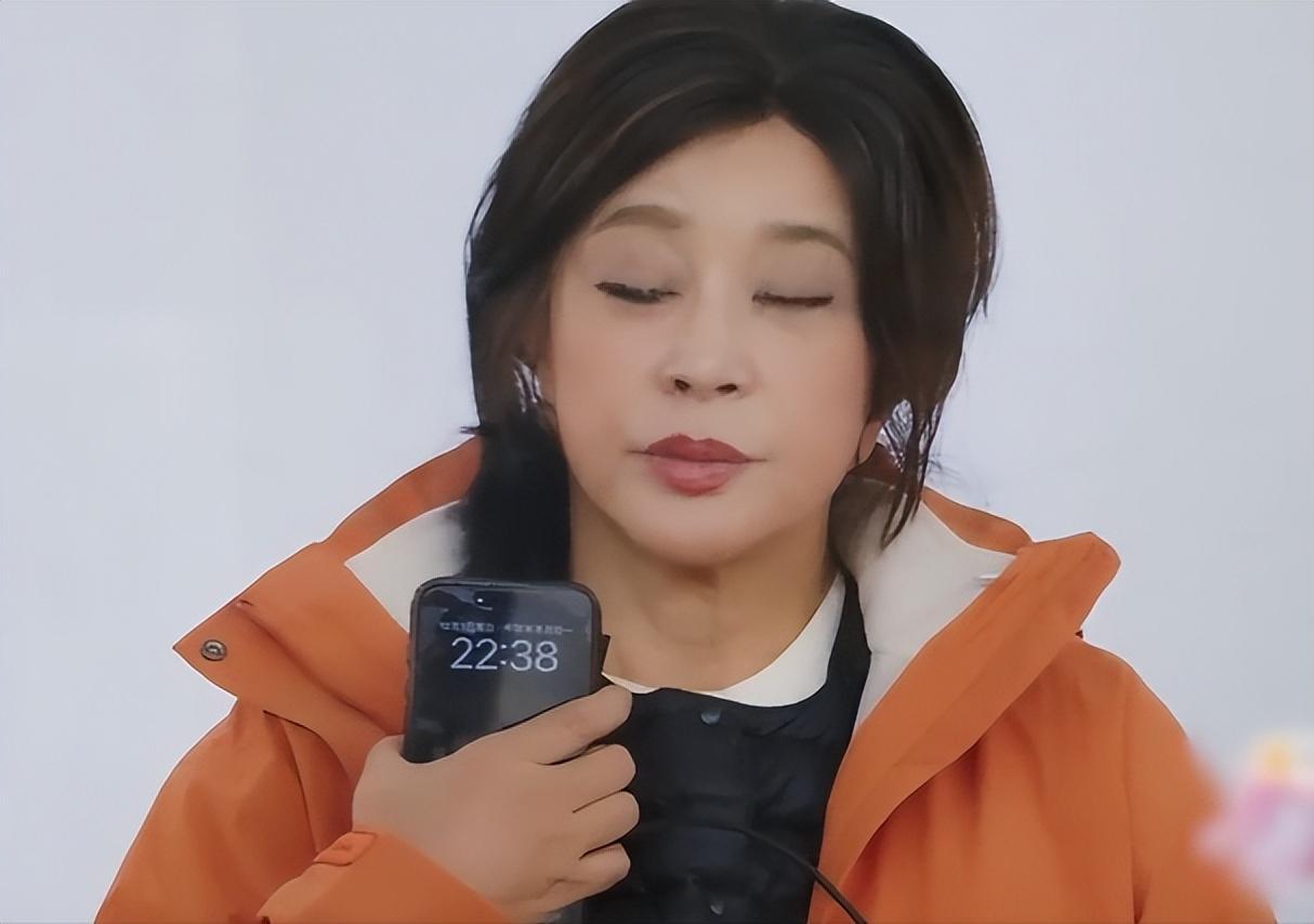商家侵權(quán)未道歉 劉曉慶申請(qǐng)強(qiáng)制執(zhí)行插圖