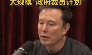 馬斯克辭職的真正原因是什么縮略圖